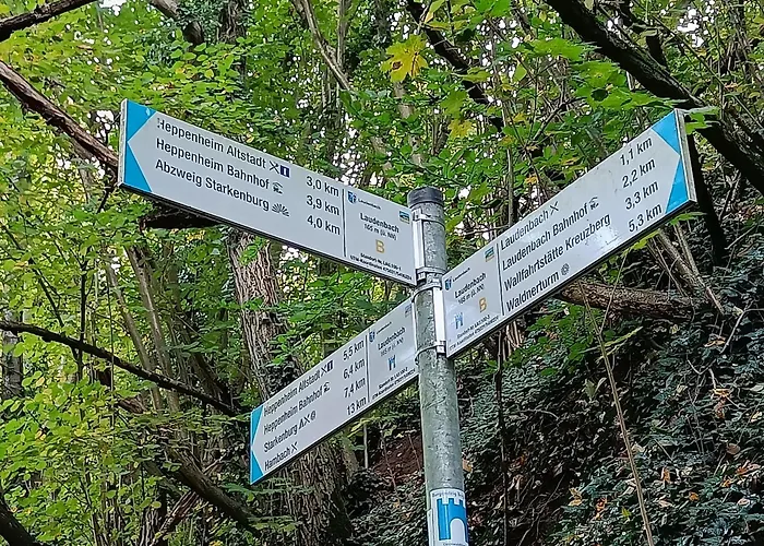Direkt Am Wald Mit Panoramablick Bis Zur Pfalz