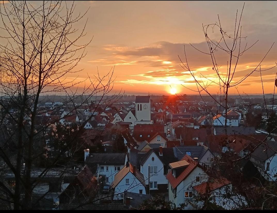 Direkt Am Wald Mit Panoramablick Bis Zur Pfalz