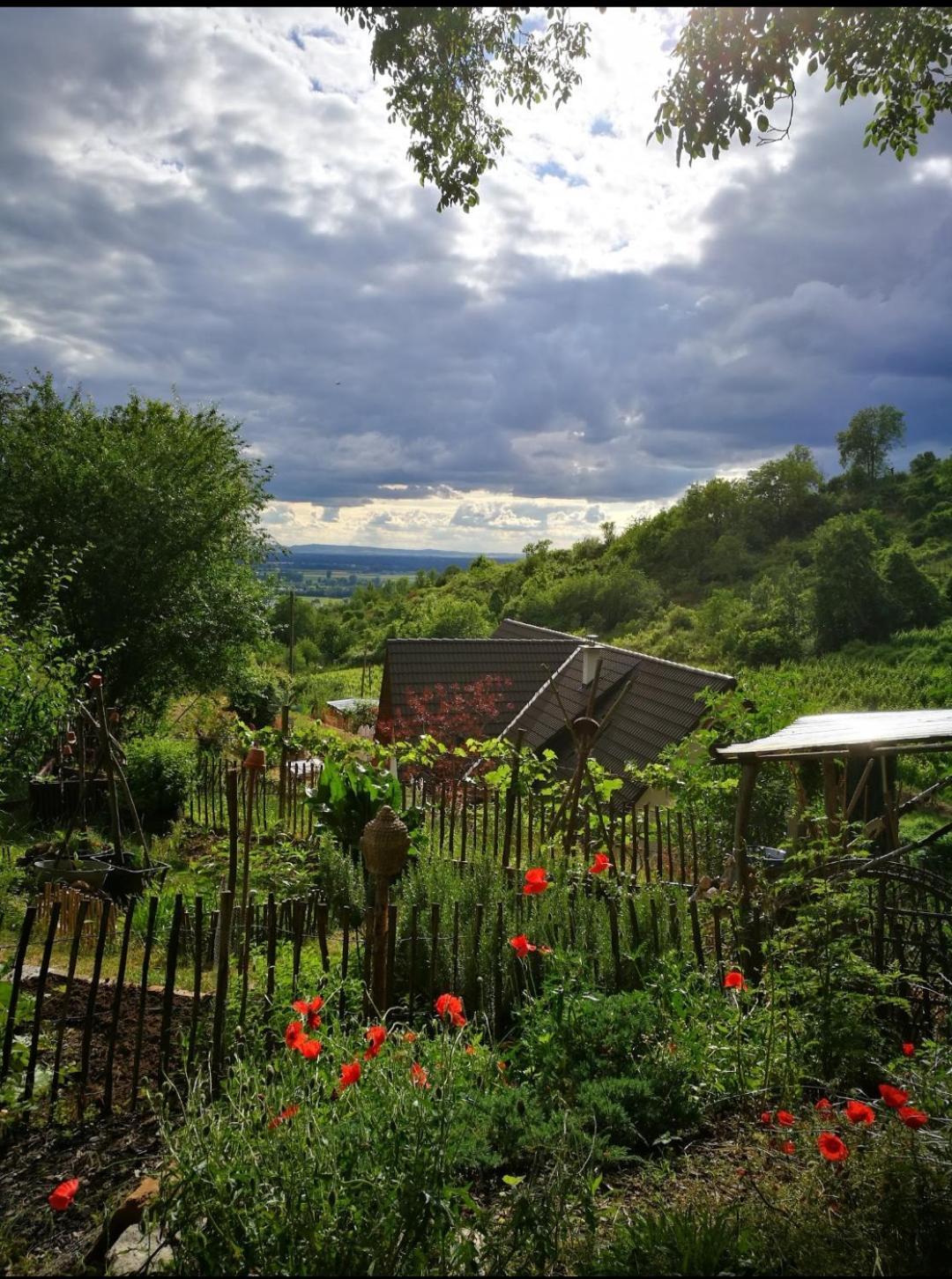 Direkt Am Wald Mit Panoramablick Bis Zur Pfalz Apartment *