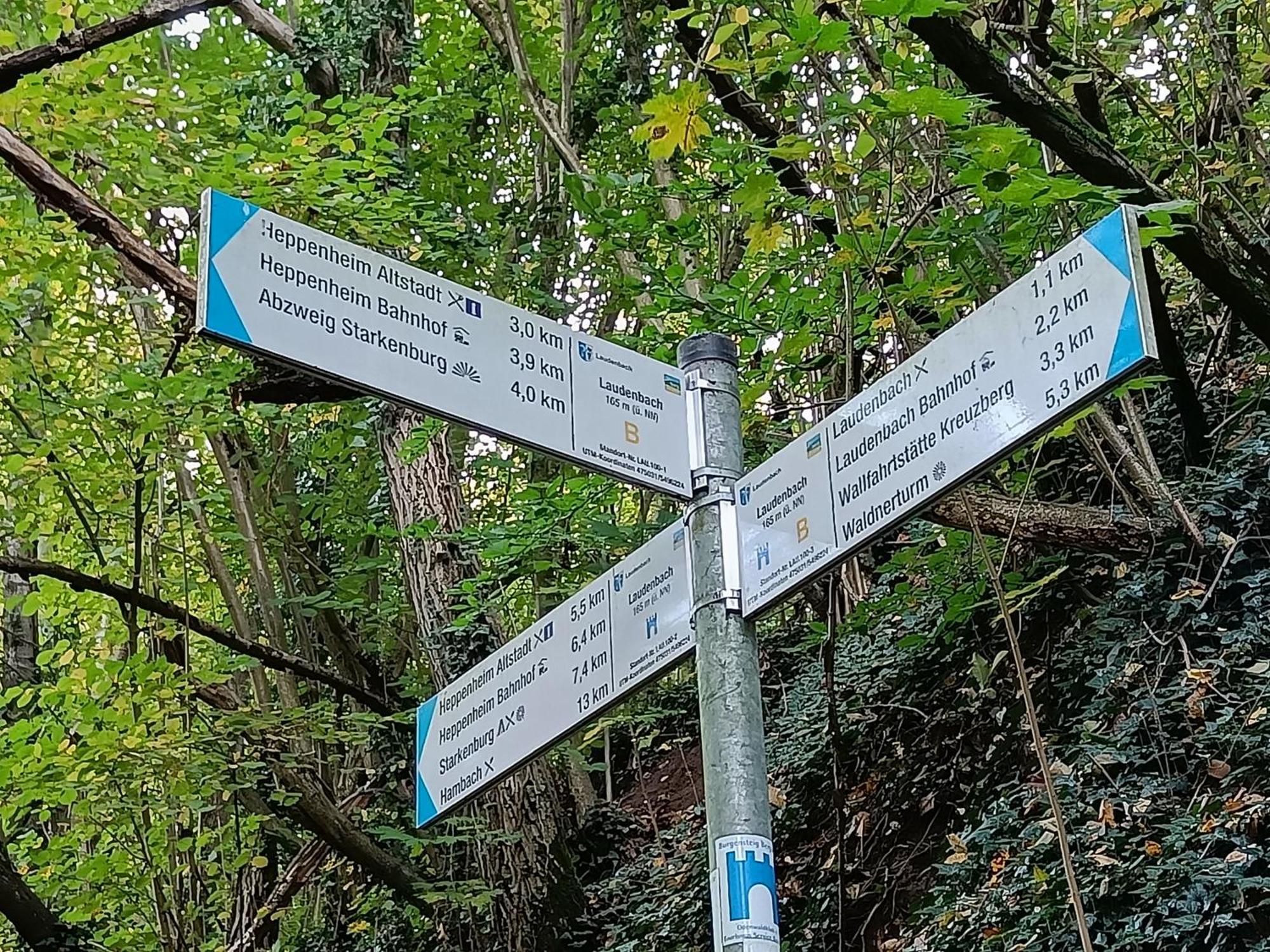 Direkt Am Wald Mit Panoramablick Bis Zur Pfalz Apartment *