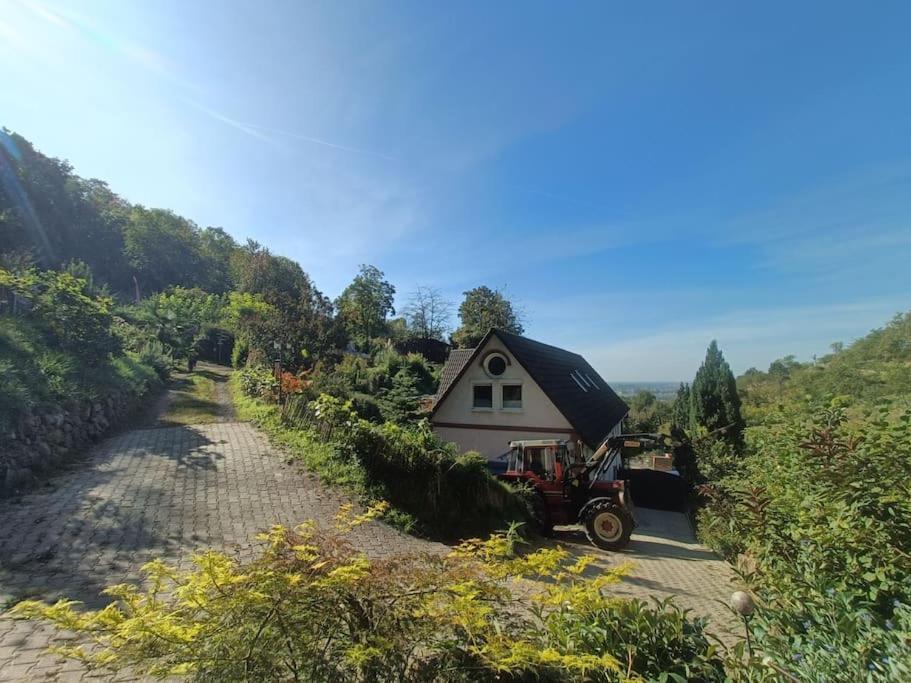 Direkt Am Wald Mit Panoramablick Bis Zur Pfalz *