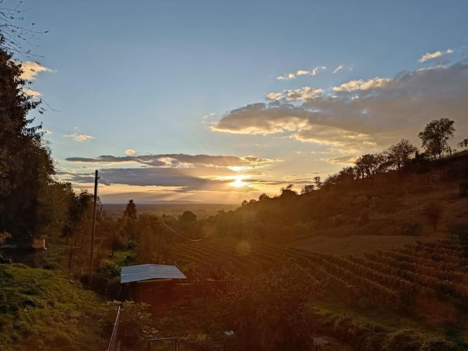 Apartment Direkt Am Wald Mit Panoramablick Bis Zur Pfalz *
