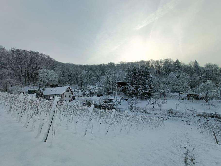 Direkt Am Wald Mit Panoramablick Bis Zur Pfalz * Laudenbach (Rhein-Neckar)