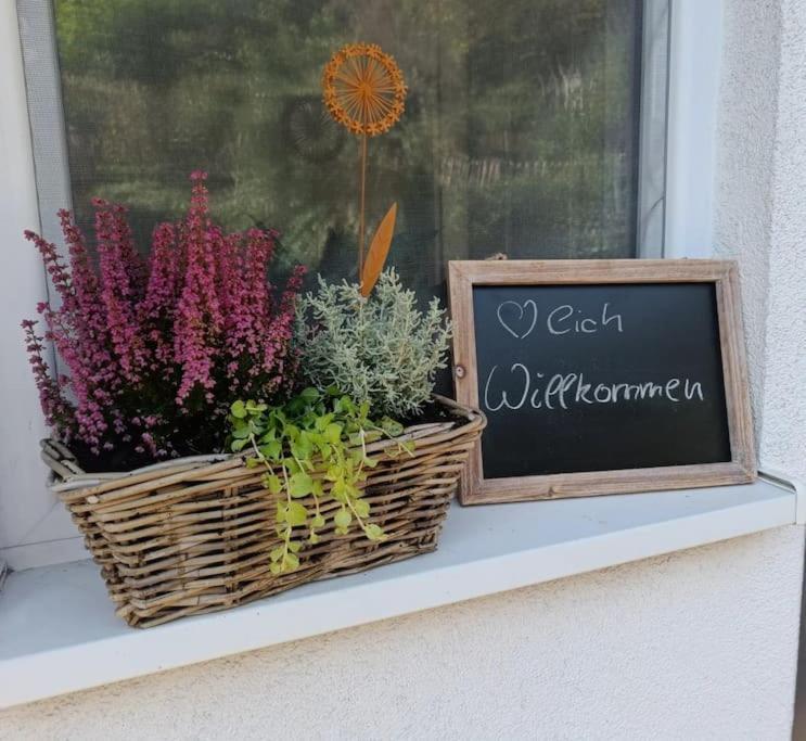 Direkt Am Wald Mit Panoramablick Bis Zur Pfalz Apartment *