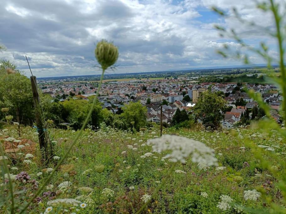 Apartment Direkt Am Wald Mit Panoramablick Bis Zur Pfalz *